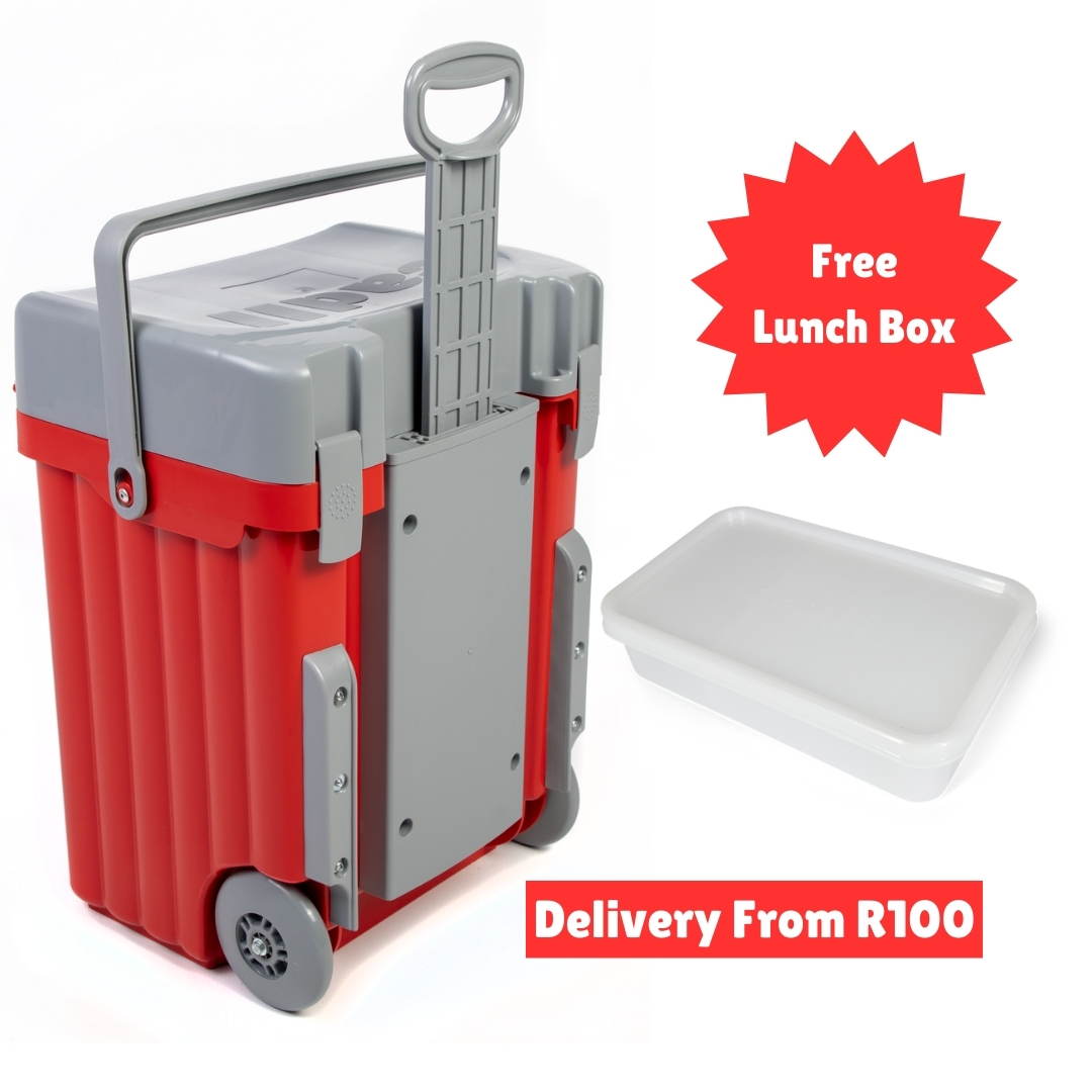 Cadii School Bag With Free Lunch Box Red/Grey
