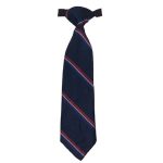 Capital Park Tie