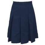 Capital Park Skirt