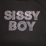 Sissy Boy Easy To Remember Sweatshirt