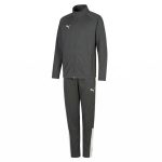 Puma Forever Faster Poly Track Suit