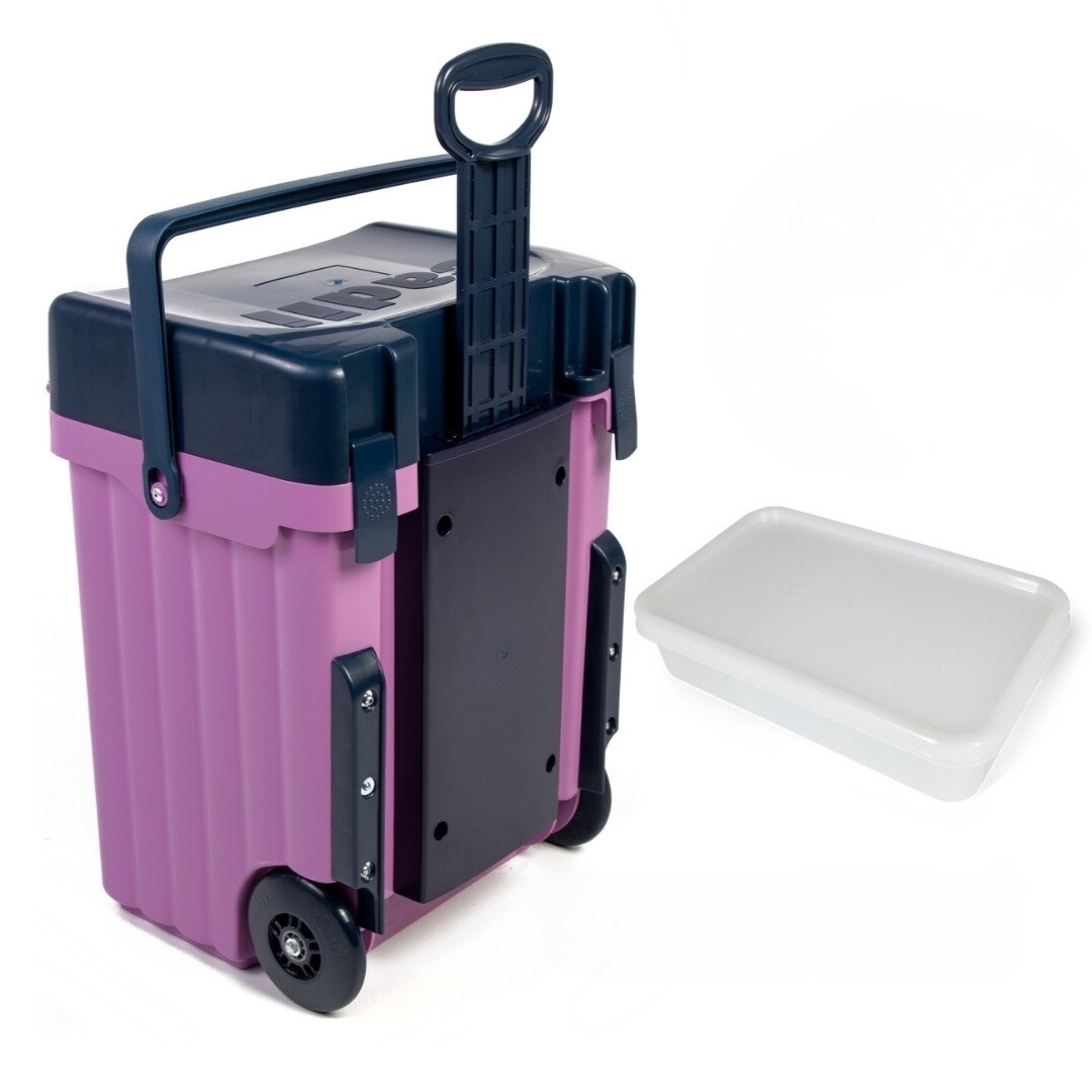 4028 Cadii Trolley School Bag