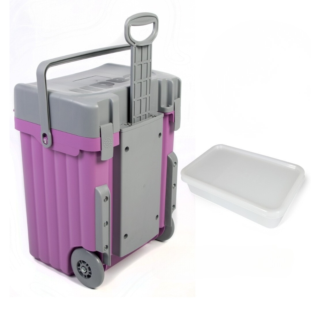 4029 Cadii Trolley School Bag
