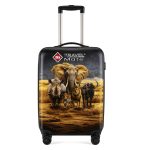 Luggage Big Five Cover