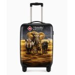 Luggage Big Five Cover